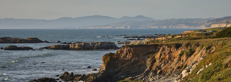 Coastal Connection: Celebrating Earth Month with Cookbook Authors Cheyenne Ellis & Scott Clark