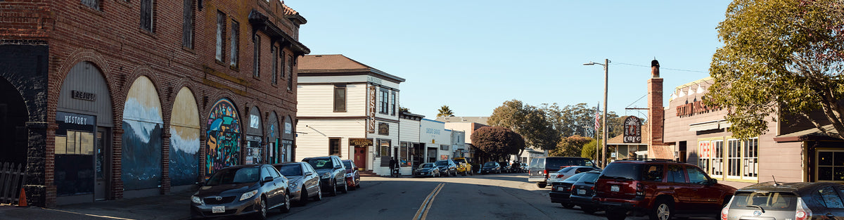 Travel Guide: Point Reyes Station