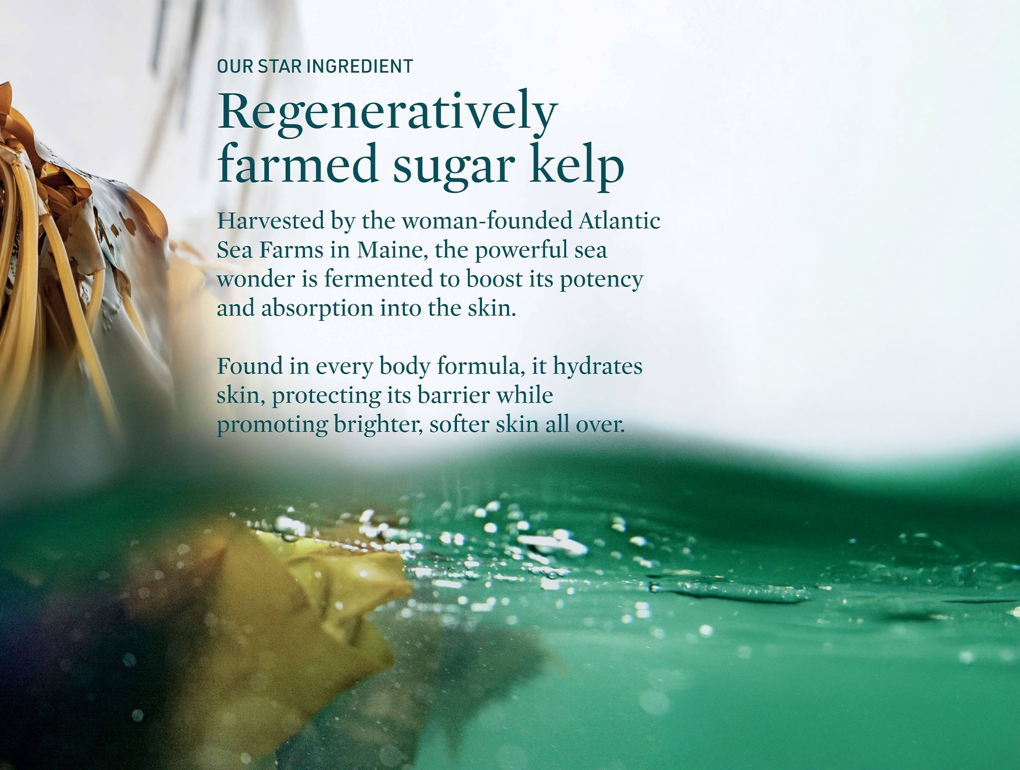 Credo Seascape Ceramide Body Serum