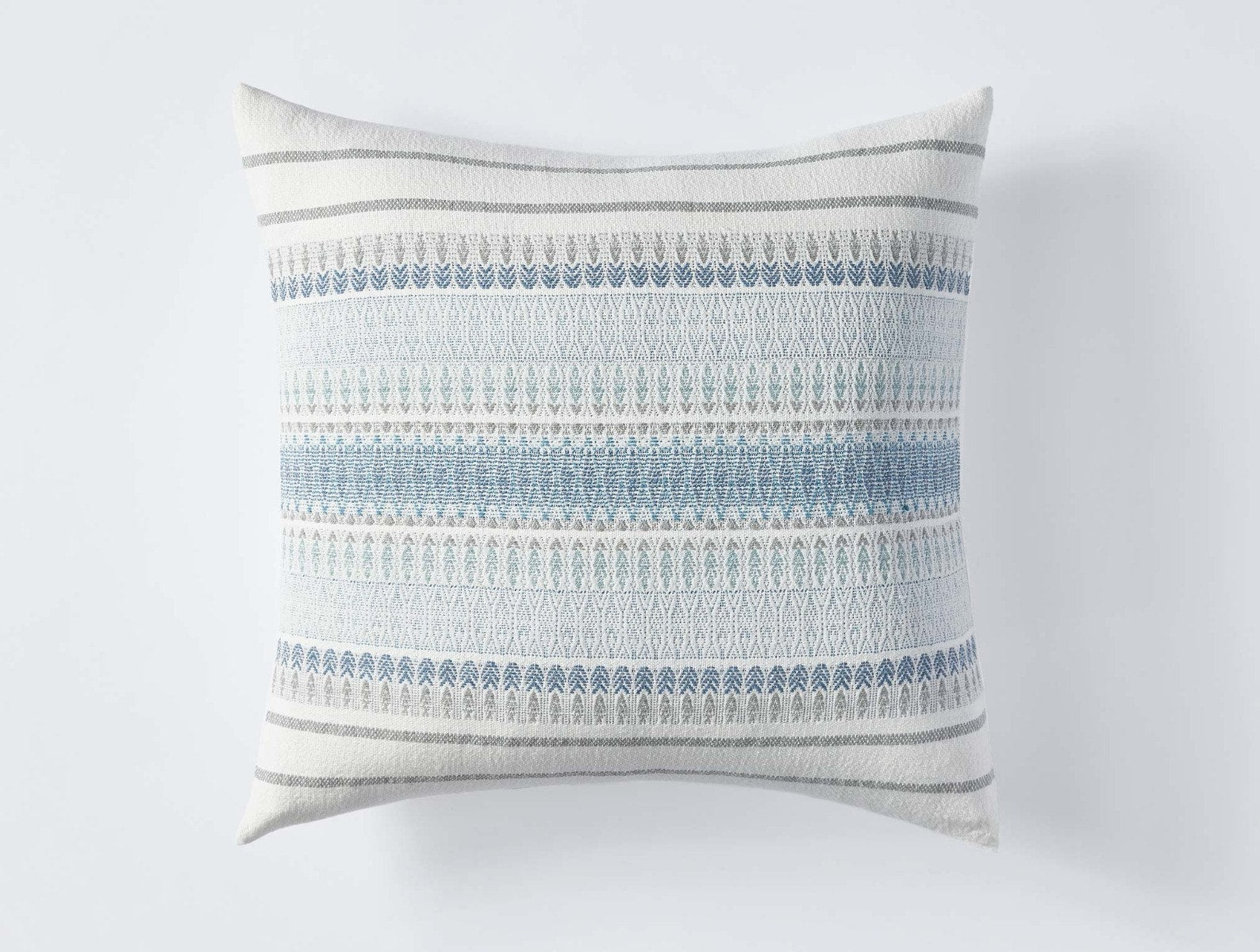 Lost Coast Decorative Organic Pillow Cover 