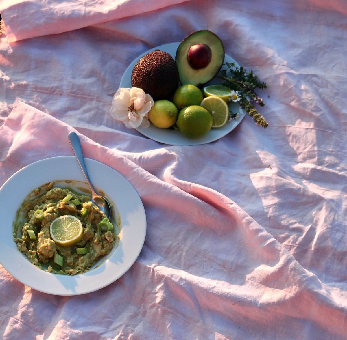 Plant Dyeing For A Picnic