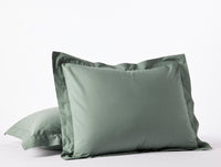 Refined Organic Percale Sham - Renewed
