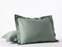 300 Thread Count Organic Percale Shams 