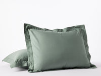 300 Thread Count Organic Percale Shams 