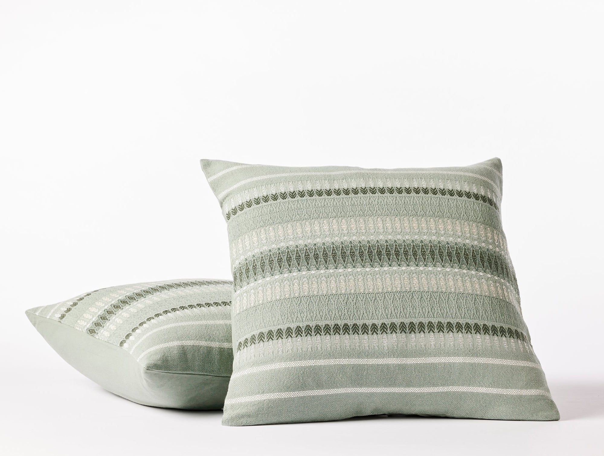Lost Coast Decorative Organic Pillow Cover 