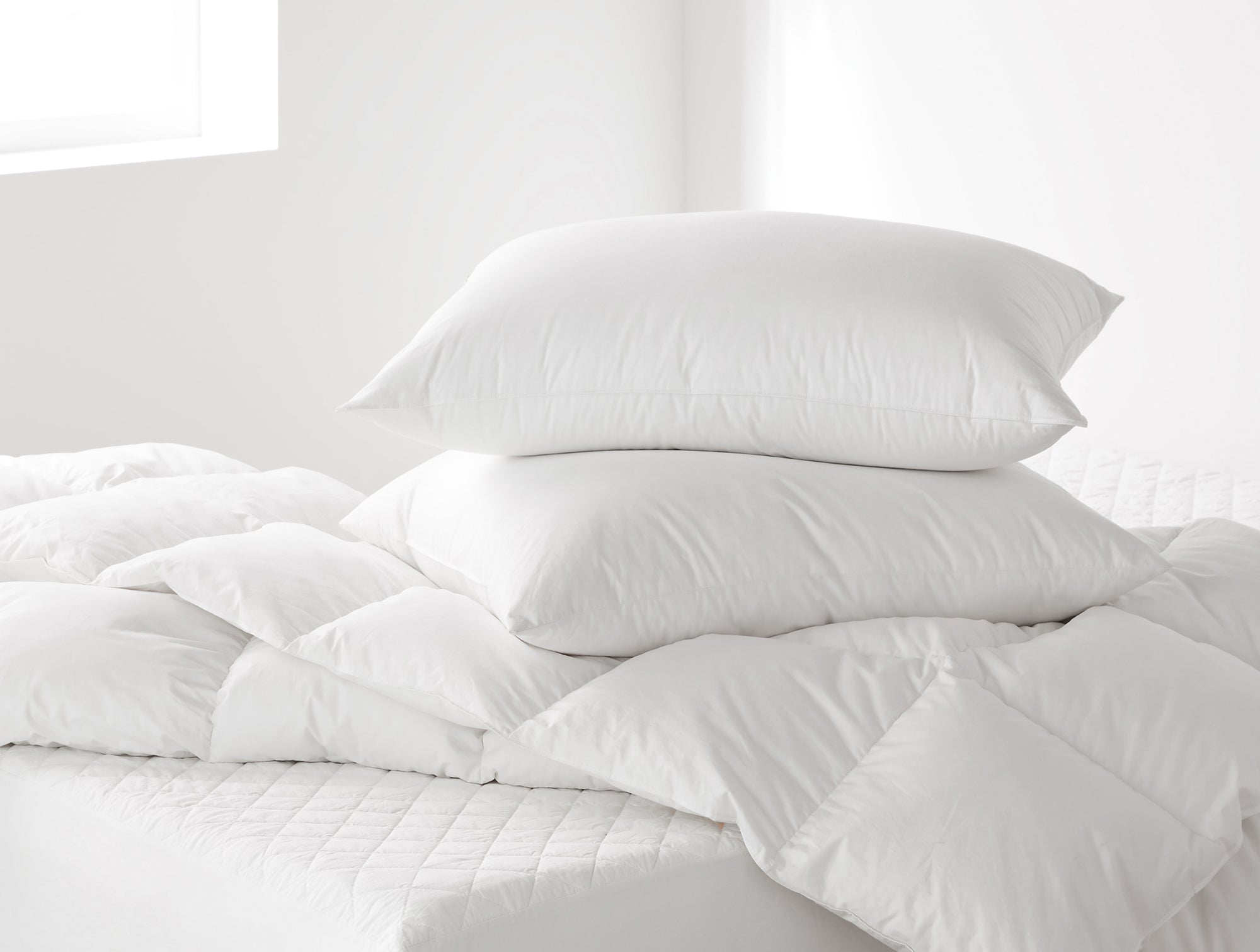 Coyuchi Feather & Down Pillow Insert White