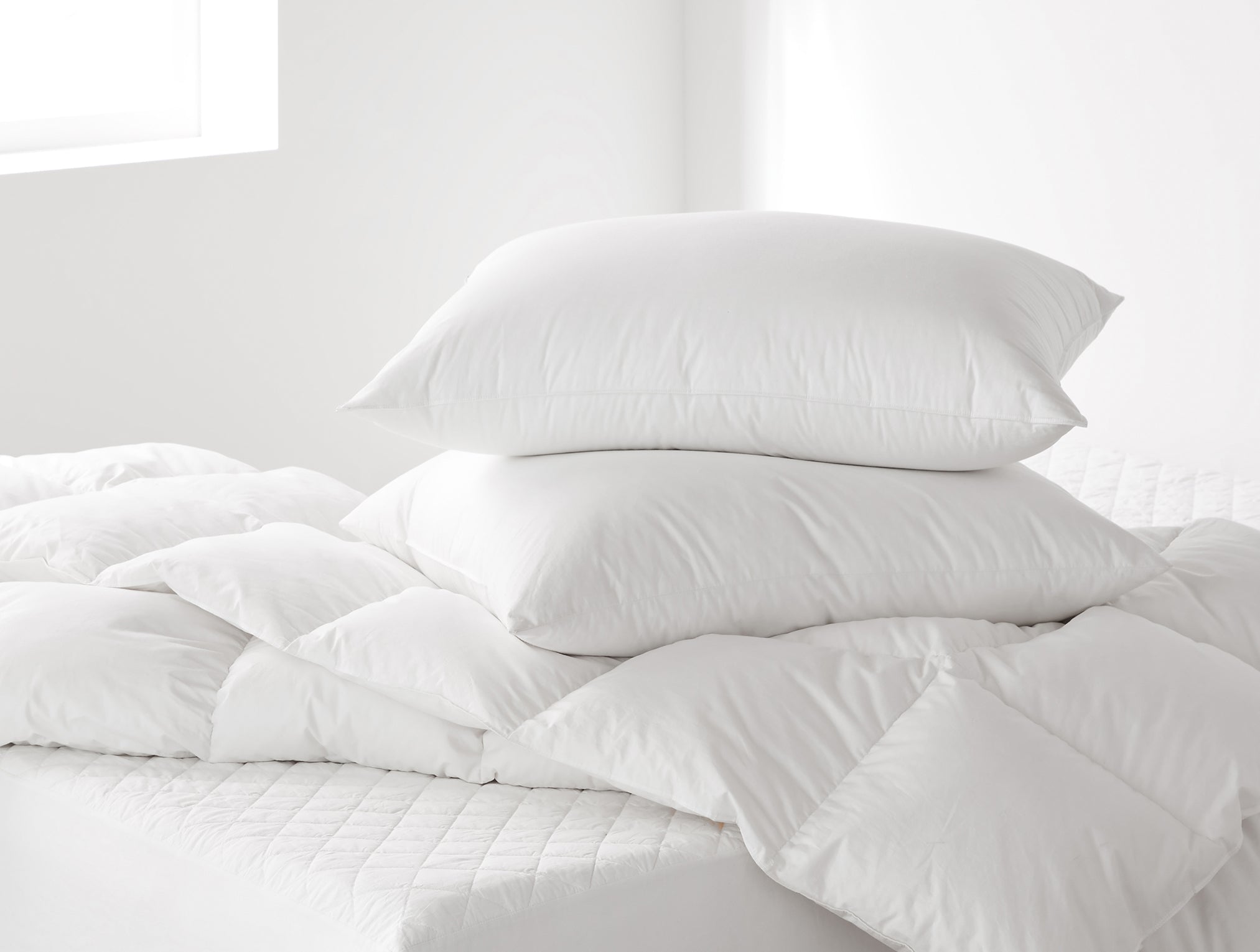 Coyuchi Down Feather Pillow