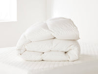 Winter Weight Down Bed Inserts Bundle