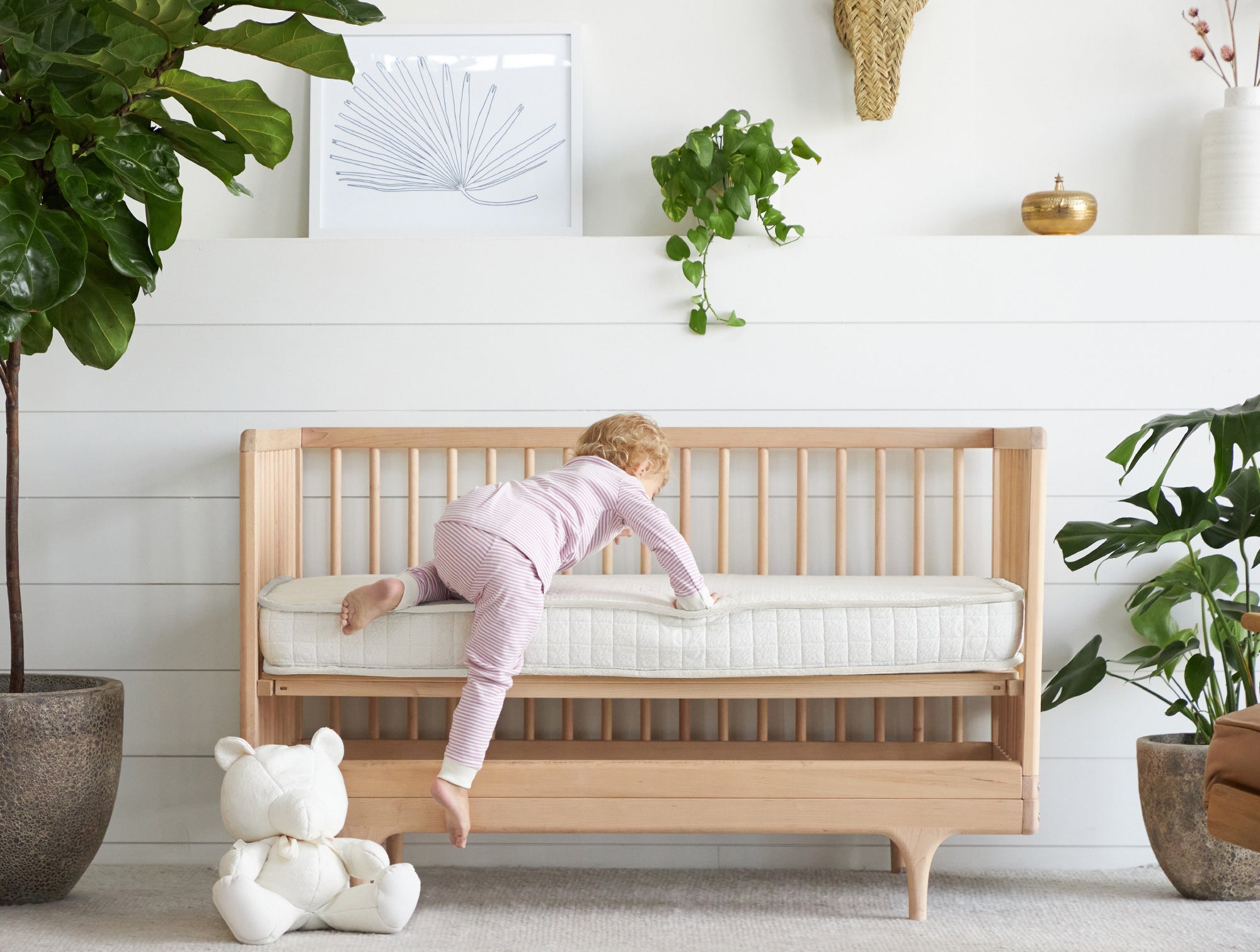 Coyuchi Organic Crib Mattress