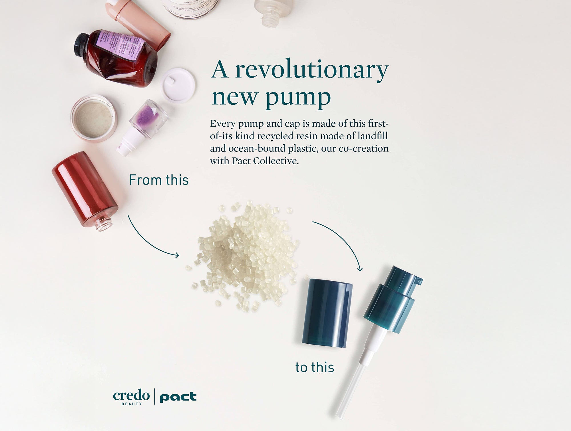 Credo True Timeout Vetiver Root + Calming Botanicals Moisturizer for Sensitive Skin