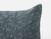 Toro Canyon Organic Pillow Cover 