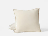Velvet Organic Pillow Cover