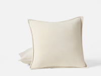Velvet Organic Pillow Cover