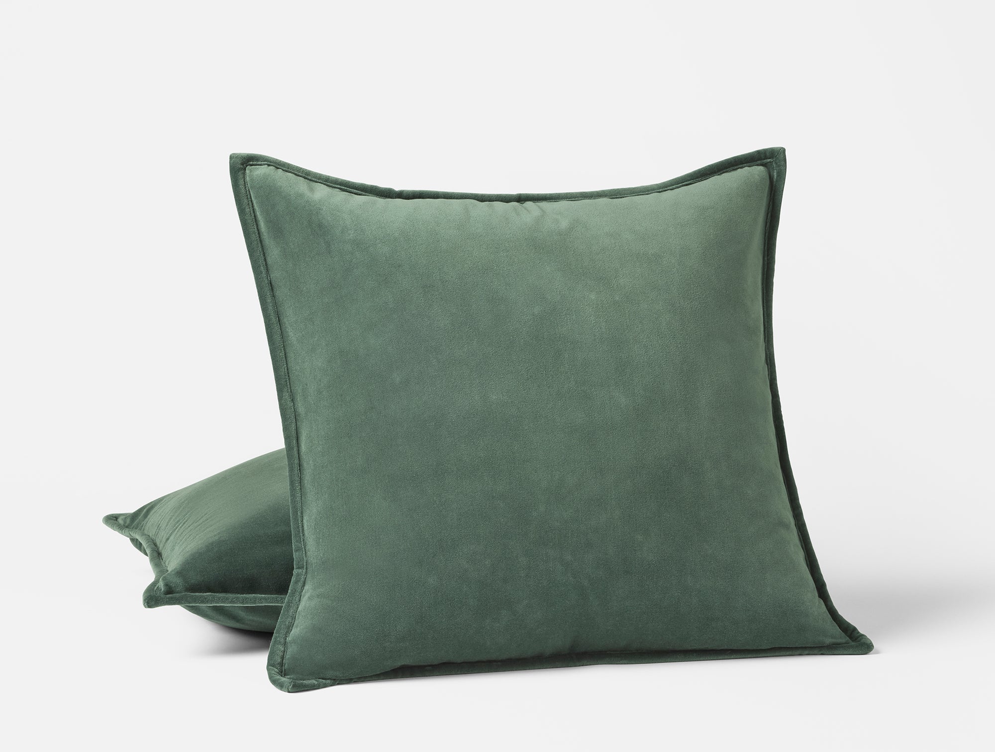 Velvet Organic Decorative Pillow Cover 