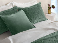 Velvet Organic Decorative Pillow Cover 