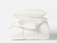 Winter Weight Down Bed Inserts Bundle