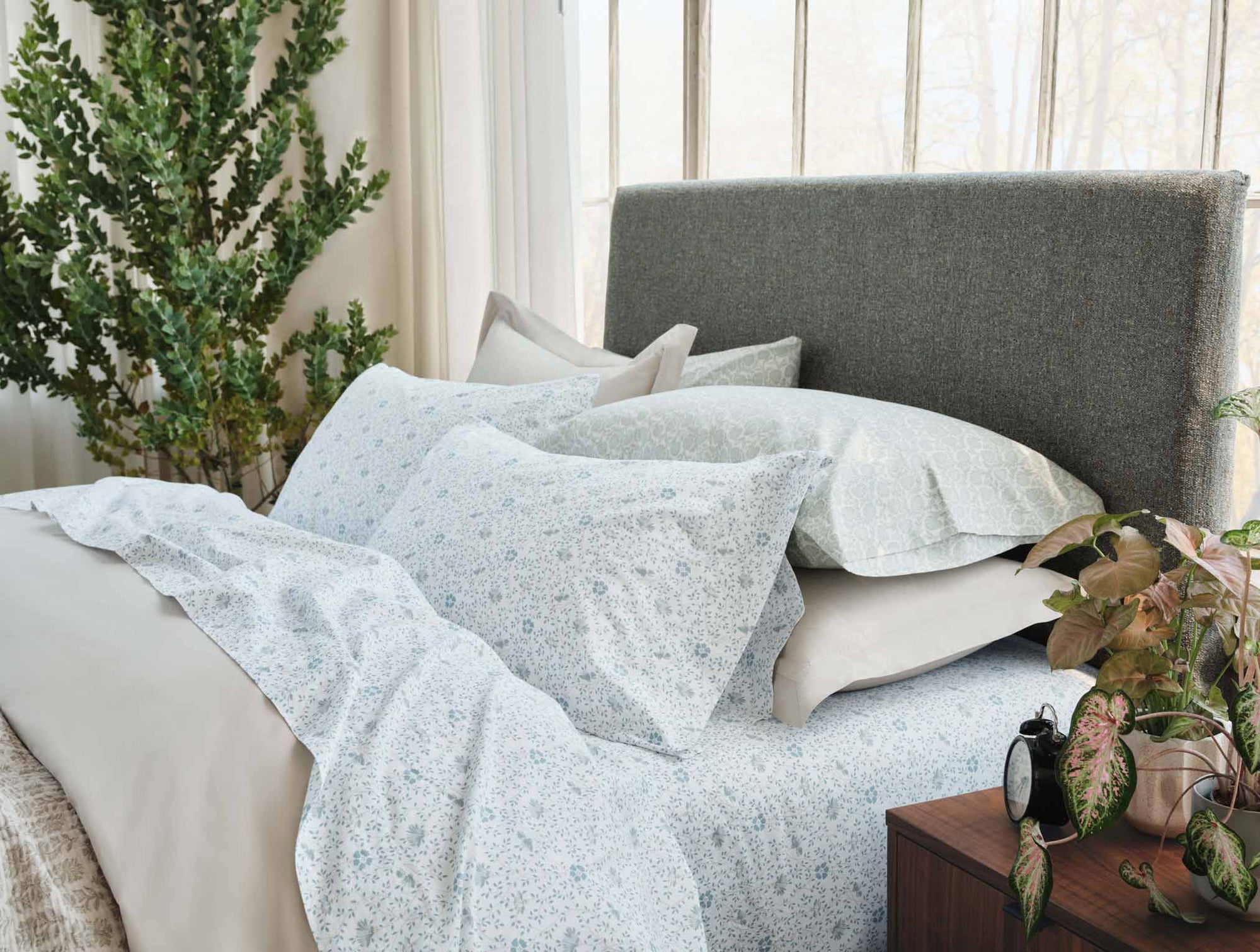 Organic Print Percale Sheet Set