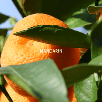Garden Air Fragrance Capsule