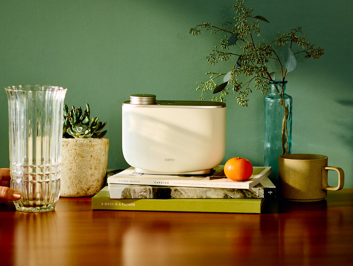 Aera Diffuser and Garden Air Fragrance Capsule