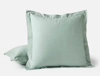 Refined Organic Percale Sham - Coyuchi 
