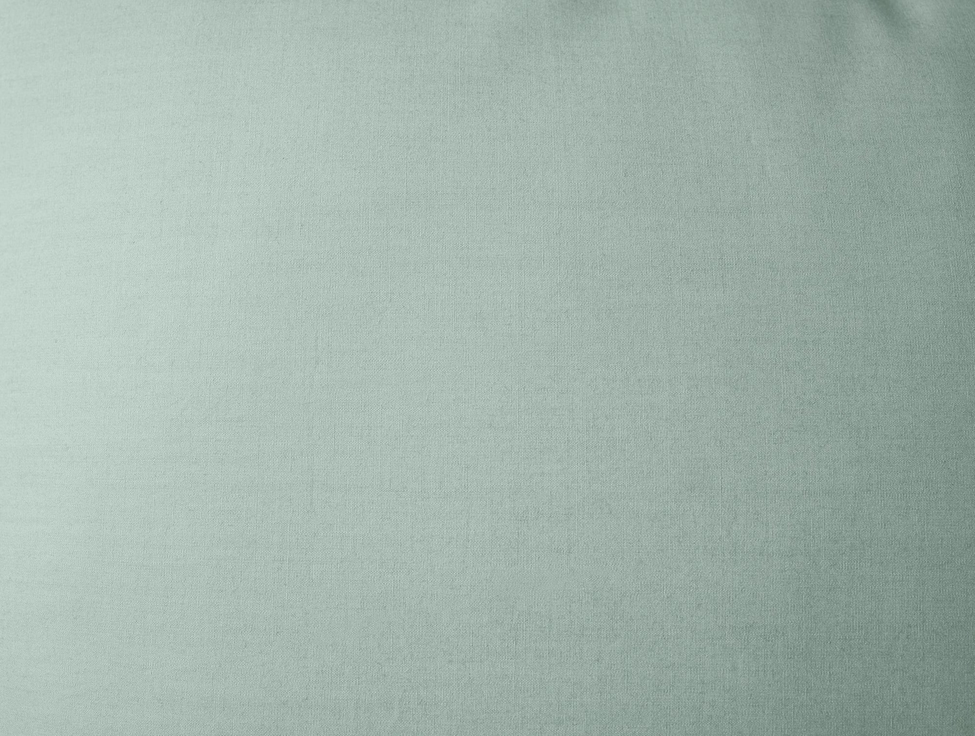 Refined Organic Percale Sham - Coyuchi 