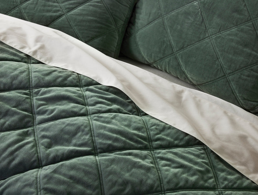 Velveteen Organic Sham | Juniper