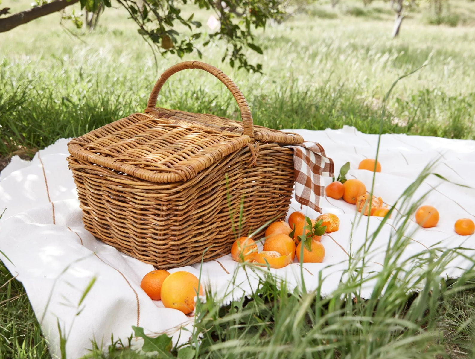Hudson Woven Picnic Basket