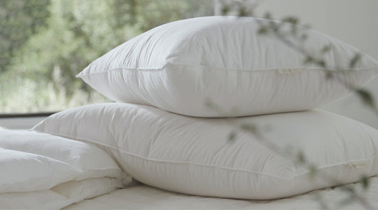 Organic Pillow Inserts  CatsEssentials – CatsEssentials