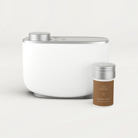 Aera Diffuser and Golden Hour Fragrance Capsule