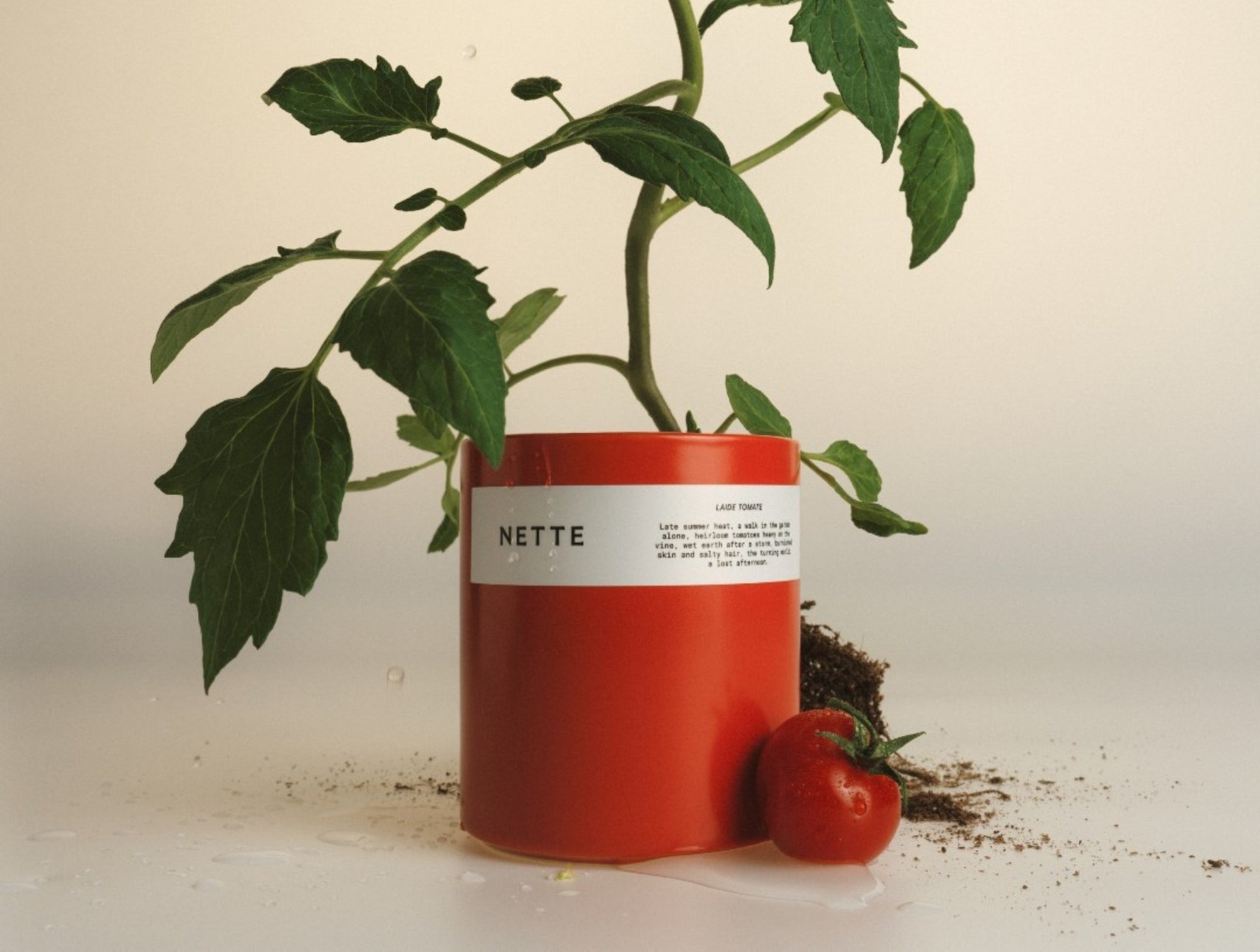 Nette Laide tomate Glass Candle 10 oz. - Coyuchi 