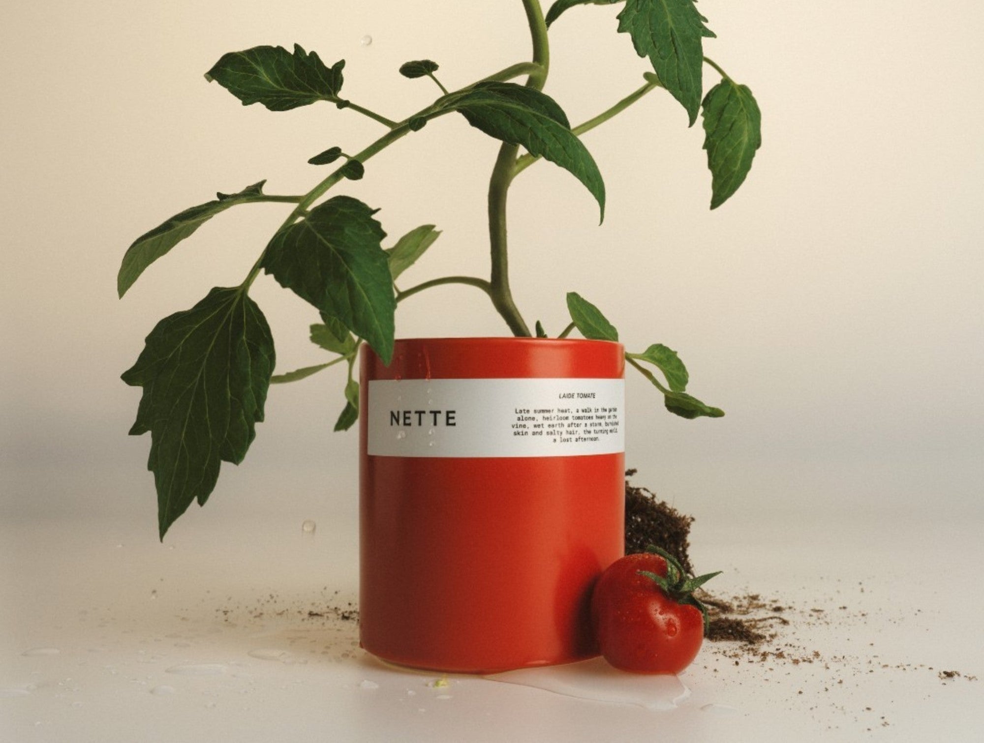 Nette Laide tomate Glass Candle 10 oz. - Coyuchi 