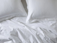 Cloud Brushed™ Organic Flannel Sham - Renewed