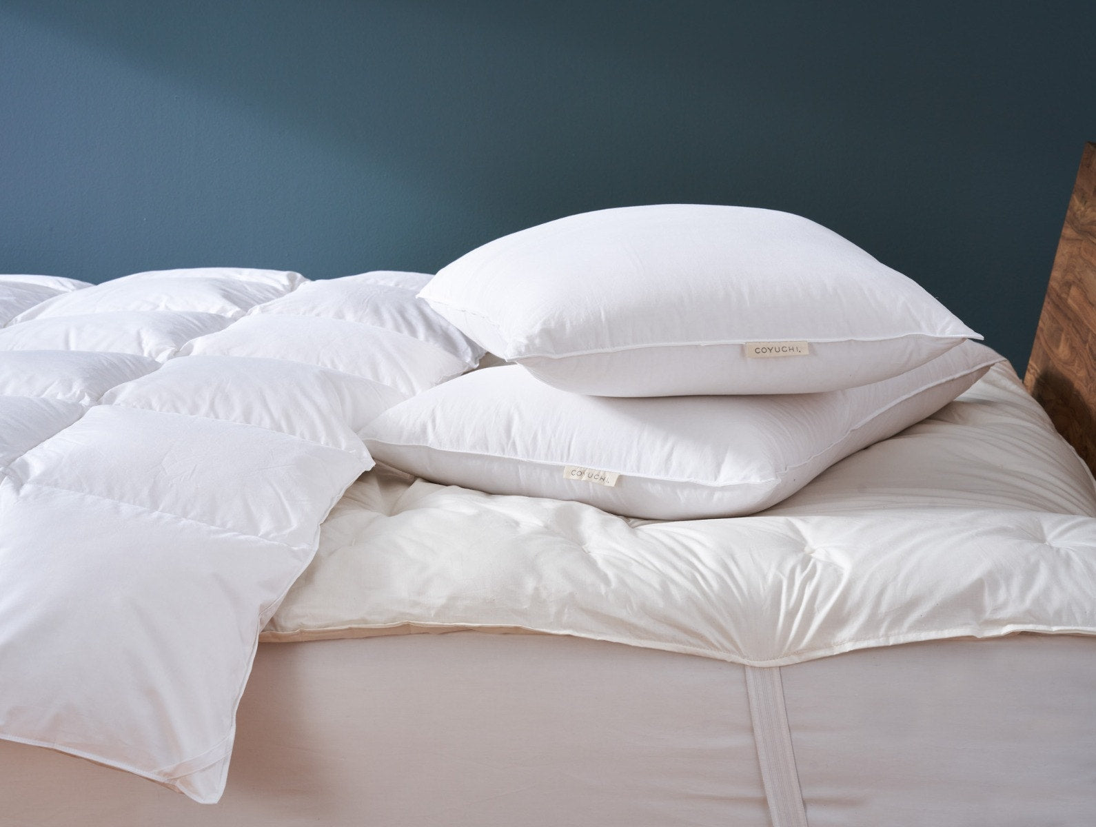 Coyuchi Latex Pillow - Thumbnail 3