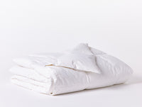 Lightweight Down Duvet Insert 