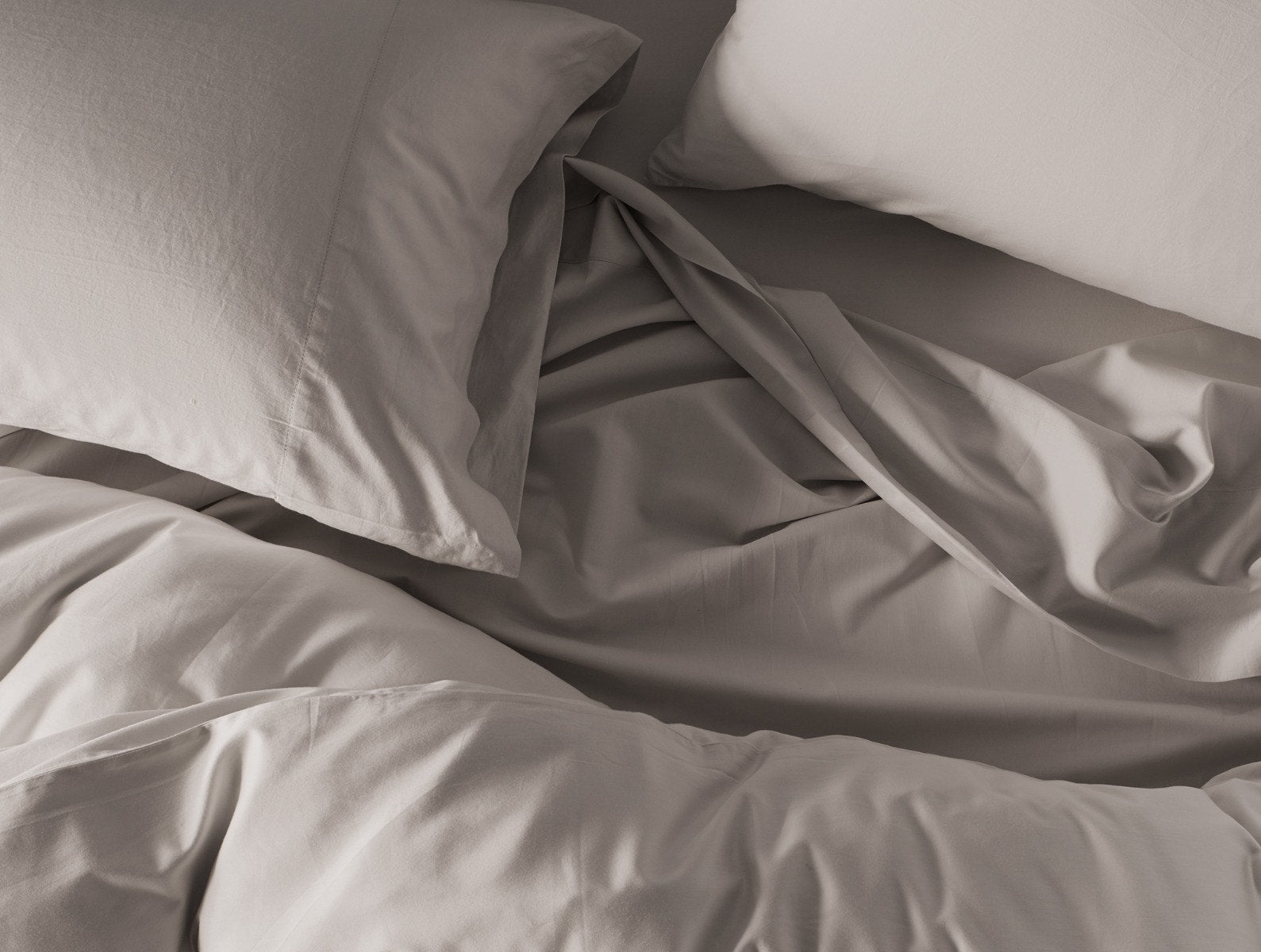 300 Thread Count Organic Sateen Sham - Renewed