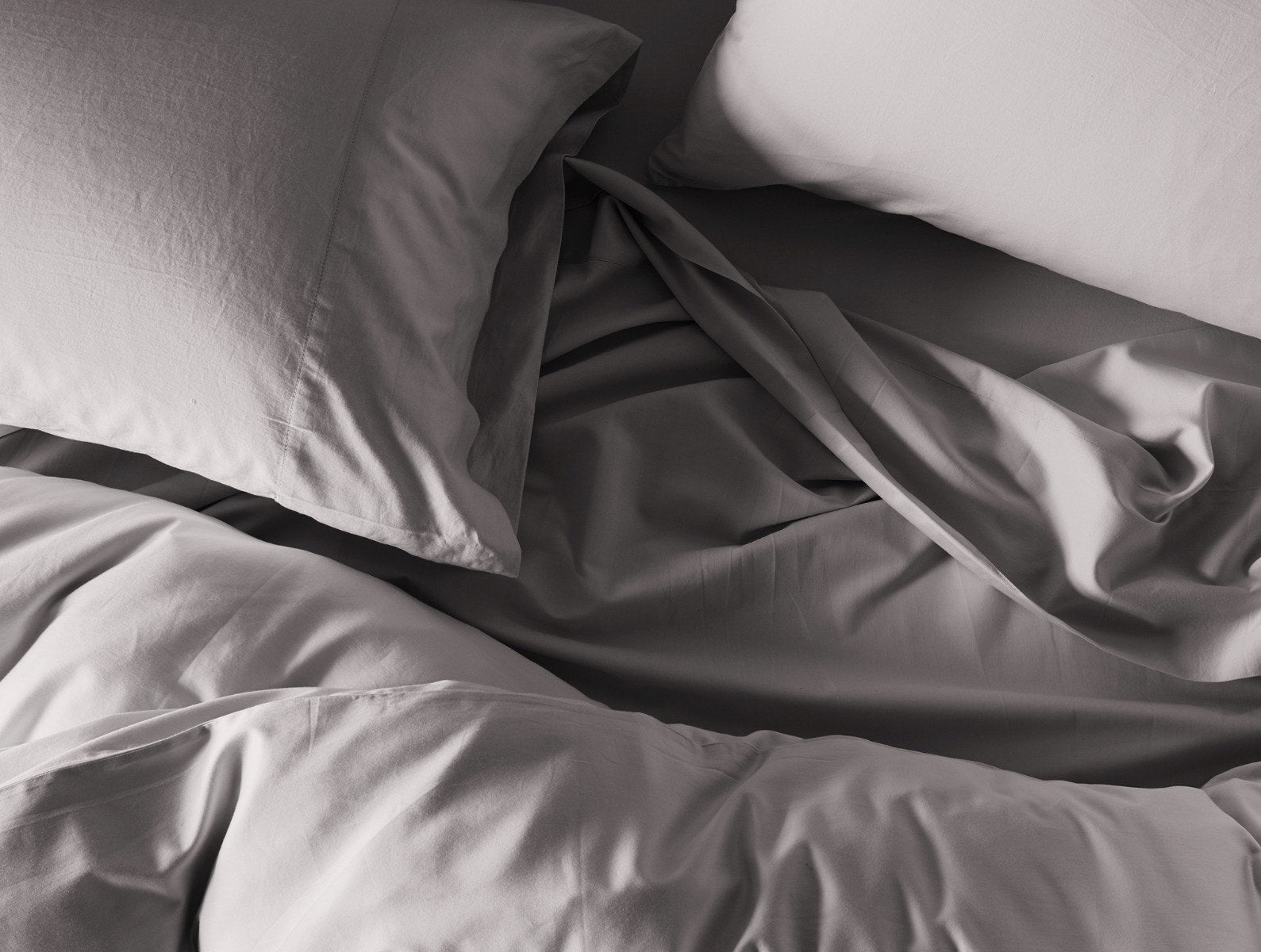 300 Thread Count Organic Sateen Sham - Renewed